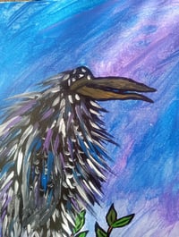 Image 11 of Crow