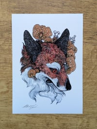 Image 1 of A5 Fungi Fox Print 