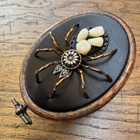 Image 1 of Toothy spider (b, 2x2.5 inches)