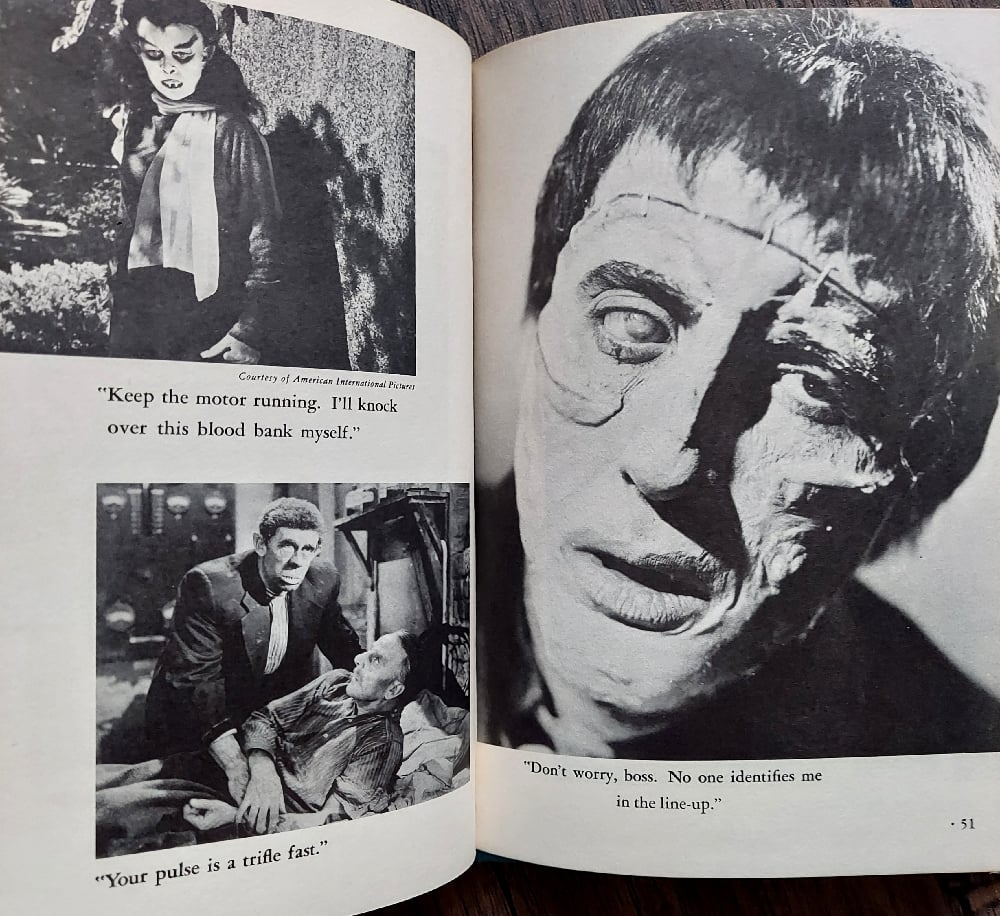 The Brave Ghouls: A Hilarious Night Action At The Horror Movies, by Bob Reisner