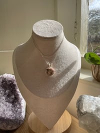 Image 4 of Silver Coral Jade Heart Crystal  Necklace