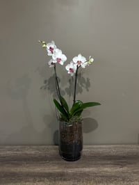 Image 2 of In a Glass