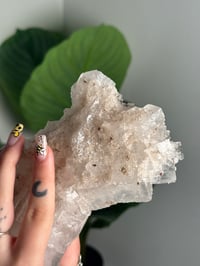 Image 5 of XL WHITE HALITE -MOROCCO- H
