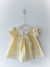 Image 1 of Sweetie - 6 months 