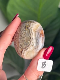 Image 3 of CHOOSE YOUR OWN MEXICAN LACE AGATE PALMSTONES 