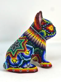 Image 3 of French Bulldog Puppy Vol 3 008