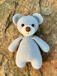 Little Teddy - Glacier