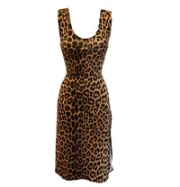 Image 1 of Teaglama Dress