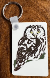 Image 3 of Tengmalm’s Owl - No.9 - UK Birding Series