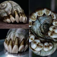 Image 2 of Snull sculpture- part snail/part skull, OOAK