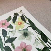 Image 2 of Signs of Spring Artwork Print