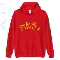 Image 4 of Know ThySelf Hoodie  