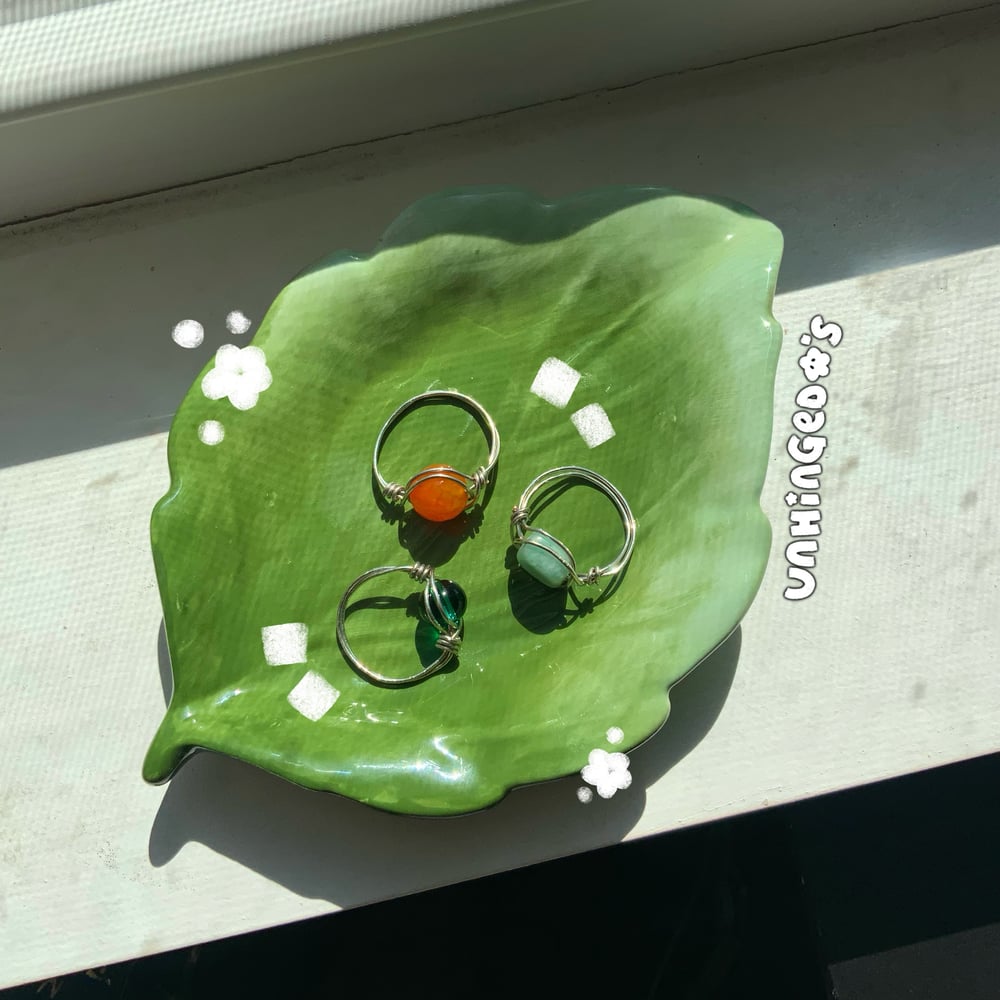 Image of Natures findings ⋆.ೃ࿔*:・