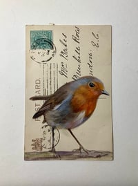 Image 1 of Robin on vintage postcard 