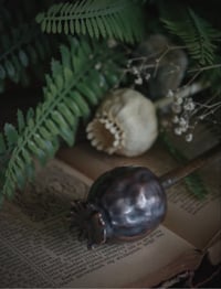 Image 1 of Hairpin made of real poppy seed pod