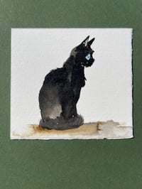 Image 1 of Inky - Kitty Cat Study