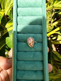 Image 1 of Miter ring 