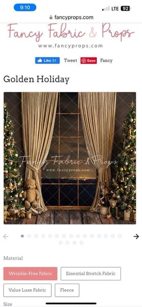 Image of Sunday, November 23rd, 2025 - Christmas Mini Sessions