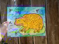 Image 1 of Yellow Frog