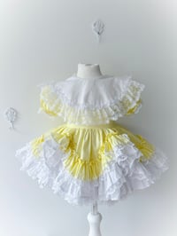 Lemon Dolly - 1 year 