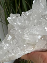 Image 15 of Clear Quartz Crystal Points Cluster #346
