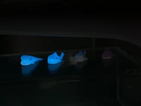 Image 4 of Blue Whales & Whale Sharks Mini Hippers! 