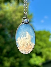 Image 1 of Above the Clouds