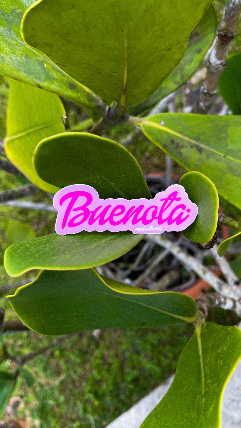 Buenota - Sticker