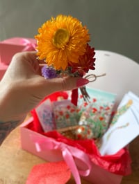 Image 4 of The Happy Christmas Gift Box 