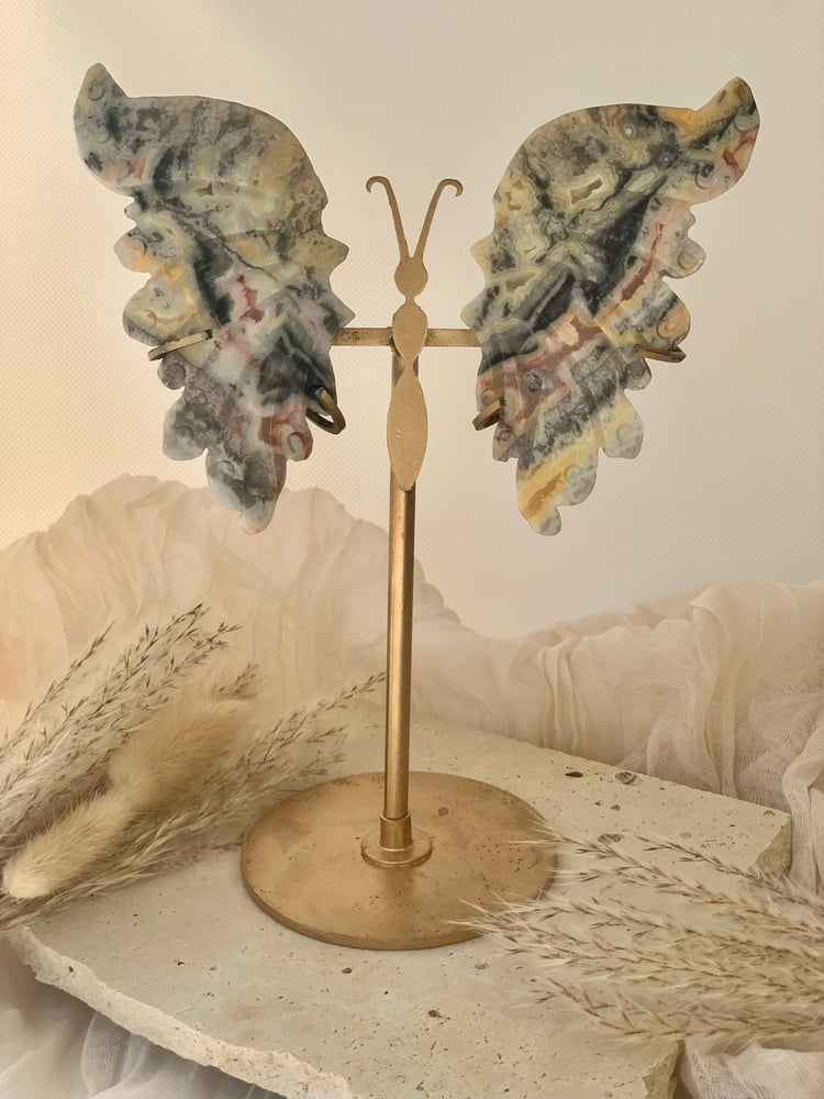 Image of Crazy Lace Agate Wings (with stand) 