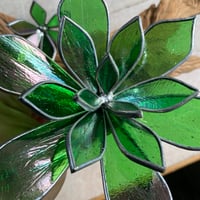 Image 4 of Wire Base Succulents