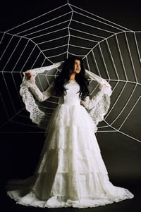 Image 2 of 1960s Lace Veil