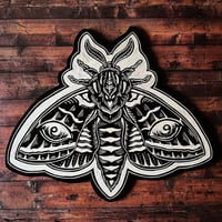 Image 1 of Eyed Sphinx Moth