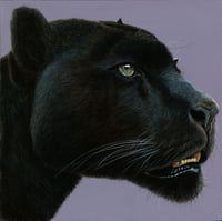 Image 1 of Fixated 