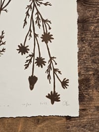 Image 6 of Matricaria • Linocut paper print