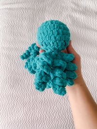 Image 1 of Baby Octopus Buddy|Made to Order