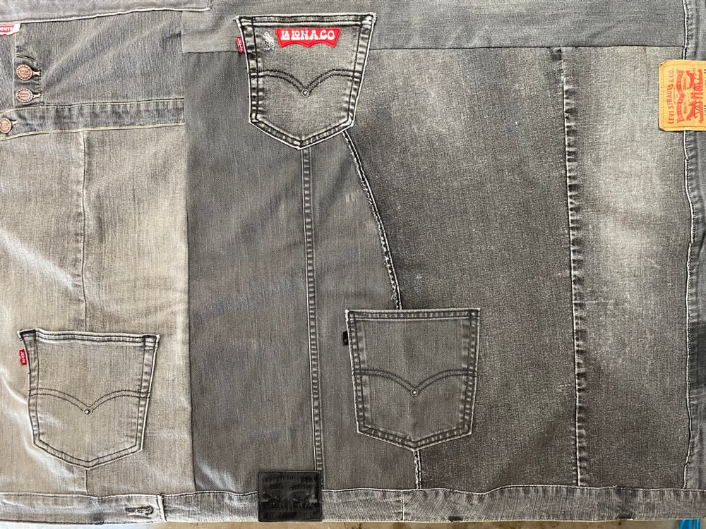 Image of 🫟LaJolla🎨🎭Lona™️