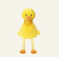 Yellow Personalised Duck