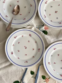 Image 2 of Les jolies assiettes fleurettes lot de 6 [au lieu de 29€]