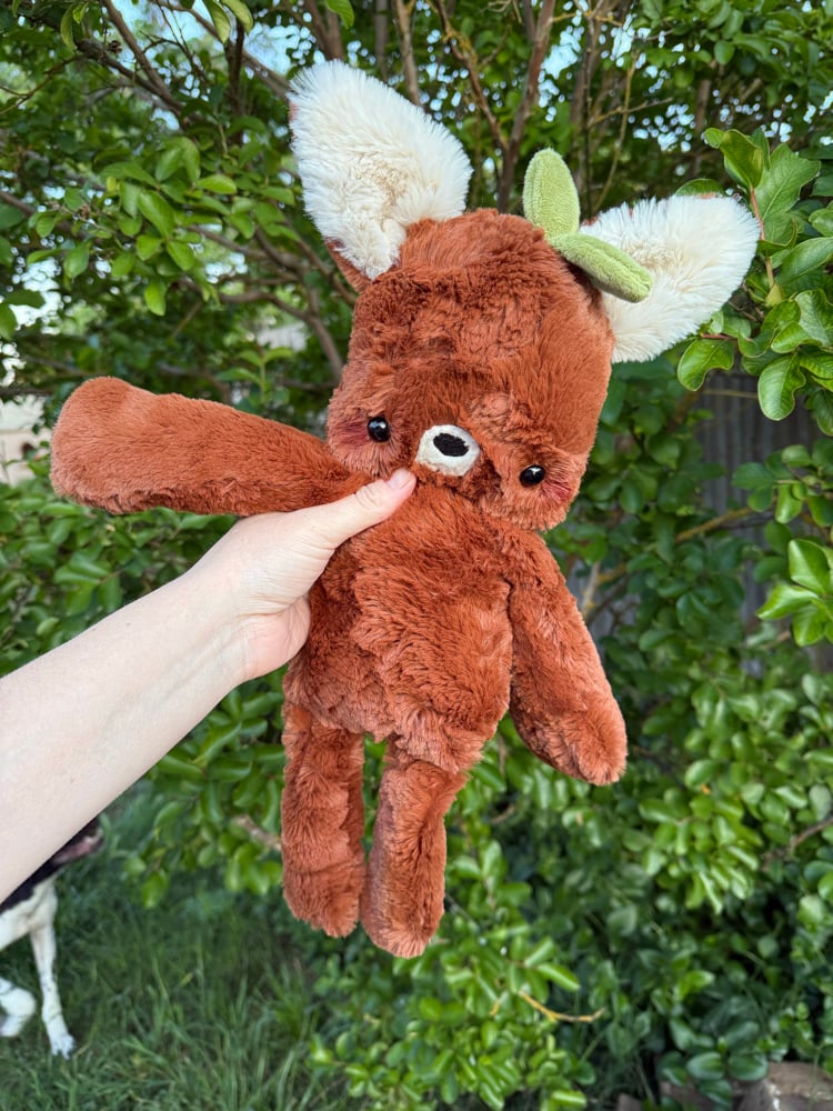 Image of Sprout the fox