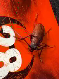 Image 3 of 28 days later