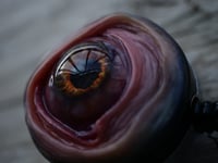 Image 10 of Handmade Realistic Eye Badge Reel Keychain