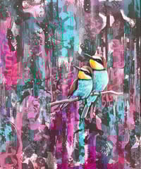 Image 1 of Euro bee eaters 