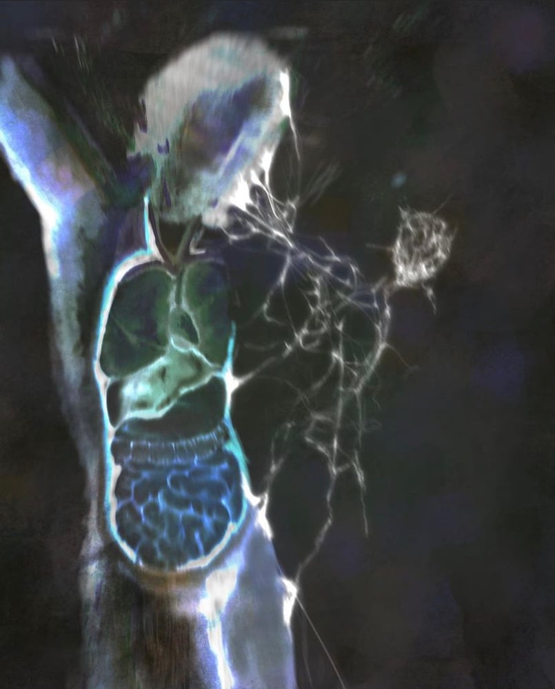 Image of yourorgansarecold