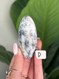 Image 4 of DENDRITIC OPAL SHIVAS