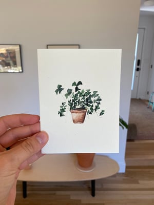 Image of Clover Plant Greeting Card