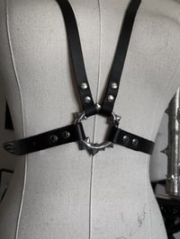 Image 5 of Thorns harness