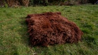 Image 2 of Harting Black Sheepskin #5