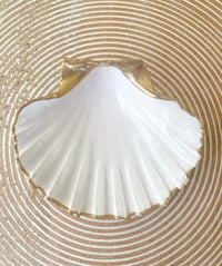 White + Pink Glitter | Medium Trinket Shell