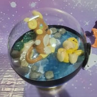 Image 1 of Riachu pysduck terrarium 